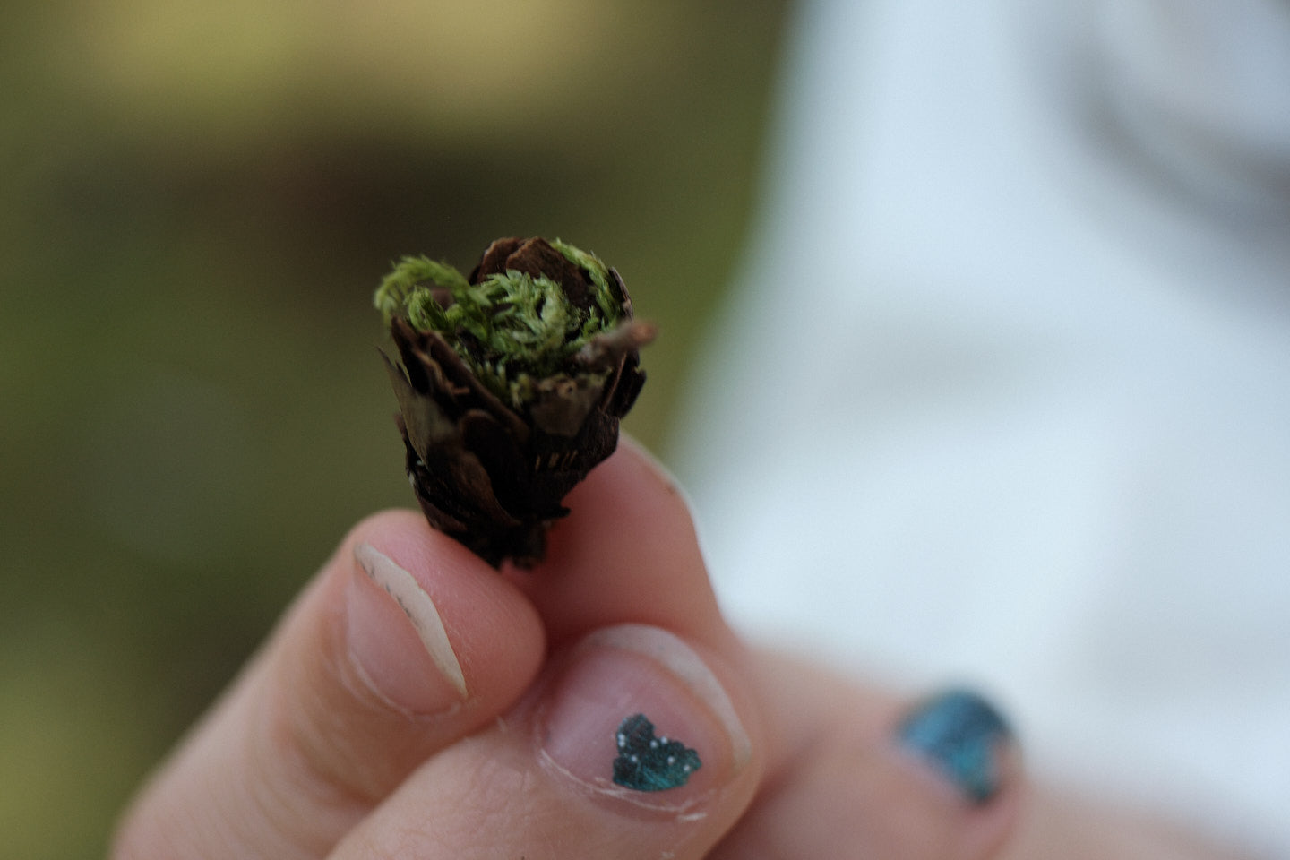 a tiny mossy pine cone held by a small childs hand with a heart shape on the fingernail